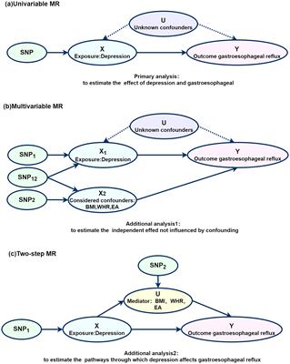 Association of depression with gastroesophageal reflux disease, and the mediating role of risk factors: a Mendelian randomization study